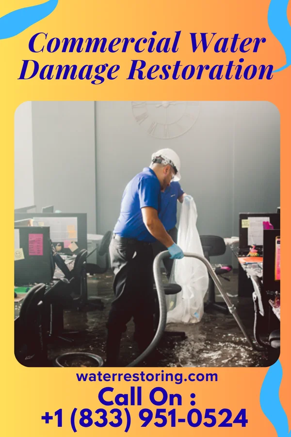 Commercial Water Damage Restoration in Park City, KS